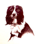 Dog 2