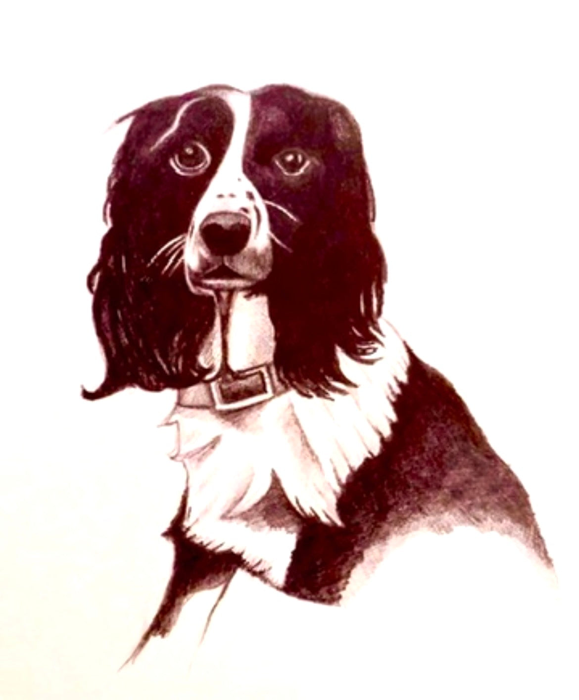 Dog 2