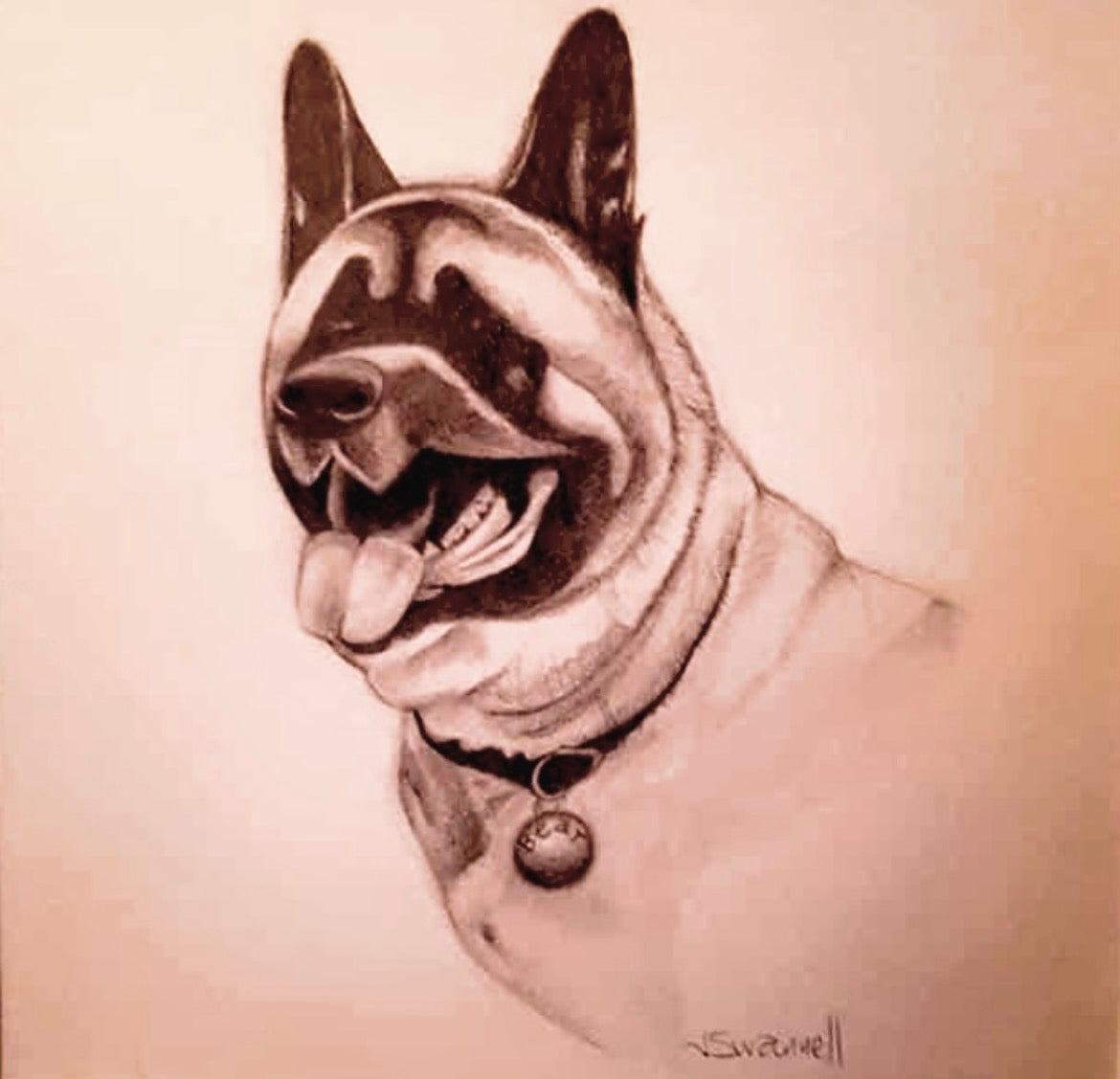 Dog 3