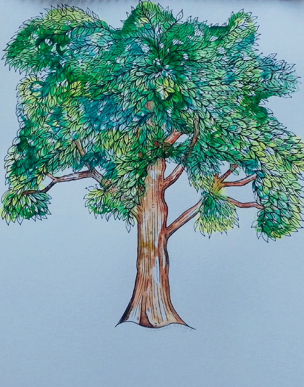 ‘Willow Tree 3’ Hand finished variable edition print