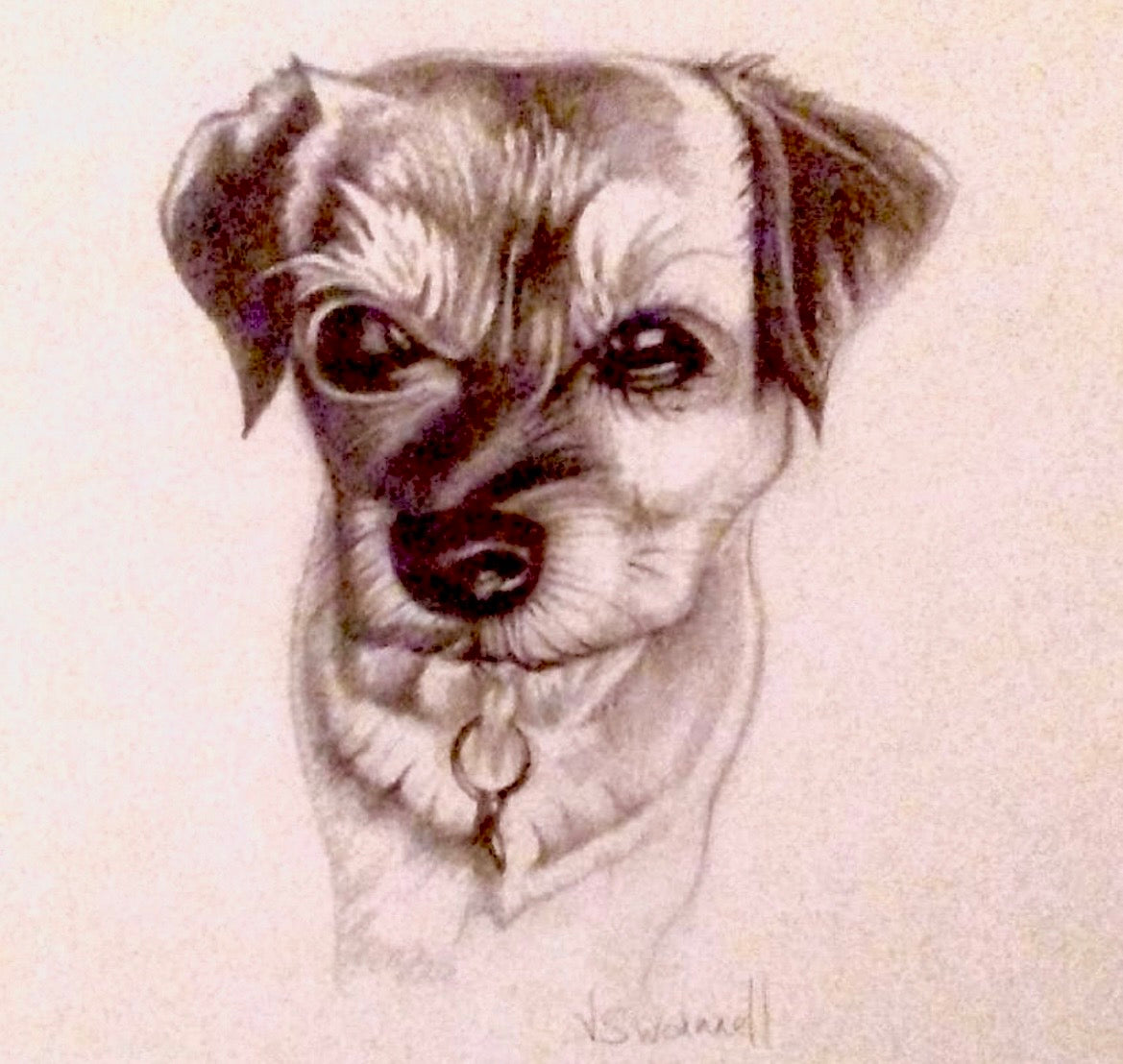 Dog 1