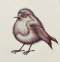 ‘Robin’ A4 Hand finished Limited Edition print