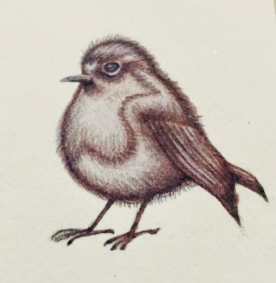 ‘Robin’ A4 Hand finished Limited Edition print