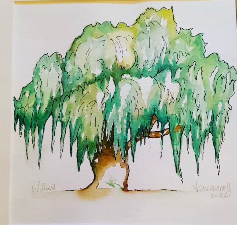 ‘Willow Tree 3’